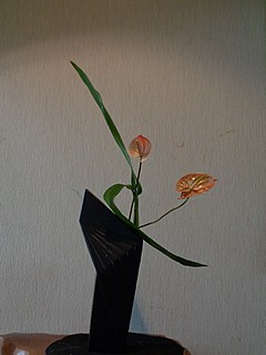 いけばな作品・アンスリウム（花・葉）