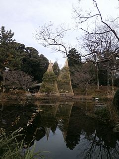 甘泉園・雪吊り