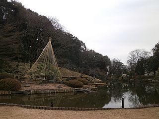 肥後細川庭園・雪吊り