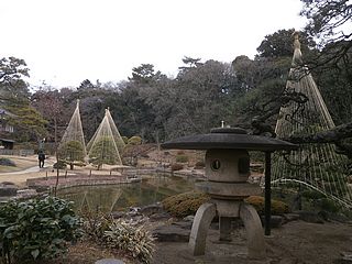 肥後細川庭園・雪吊り