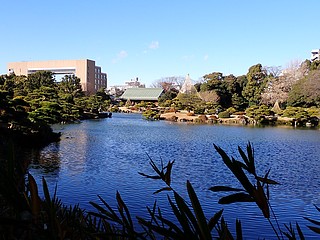 清澄庭園