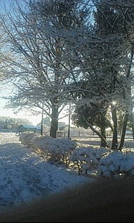 運動場の雪景色