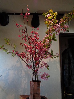 いけばな作品・河津桜、寒緋桜