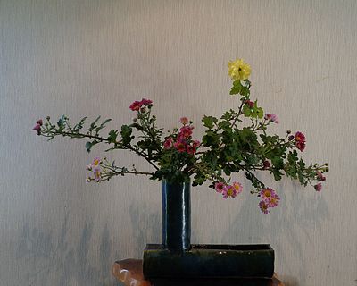 いけばな作品・菊