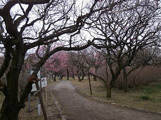 神代植物公園