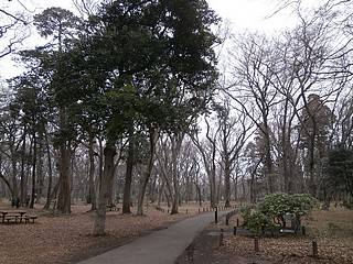 神代植物公園