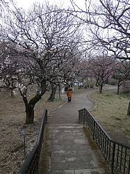 神代植物公園