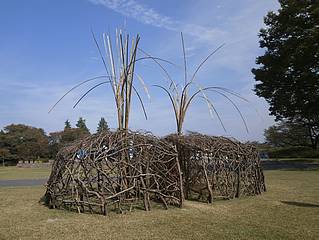 よみがえる樹々のいのち展・草月・東京西支部作品