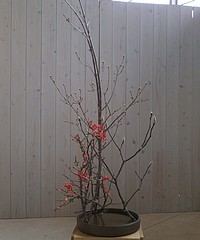 五本木昌広いけばな作品