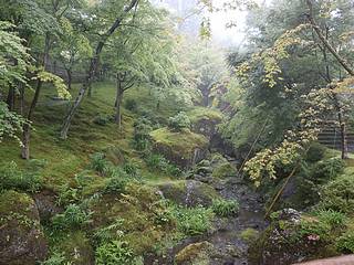 箱根美術館苔庭