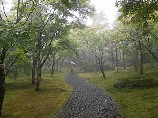 箱根美術館苔庭