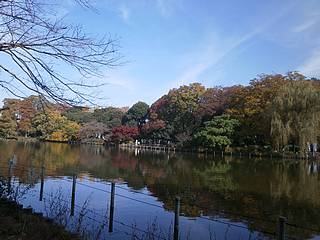 善福寺公園